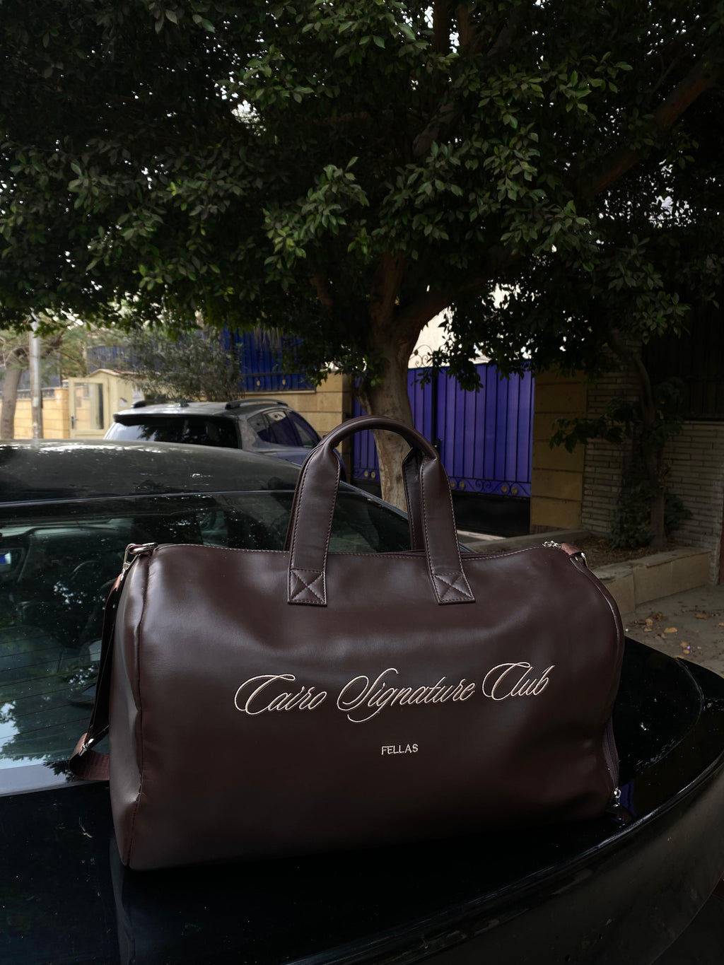 Brown Leather Bag